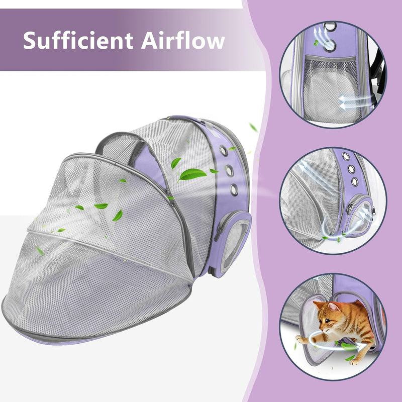 Expandable Bubble Backpack for Cats