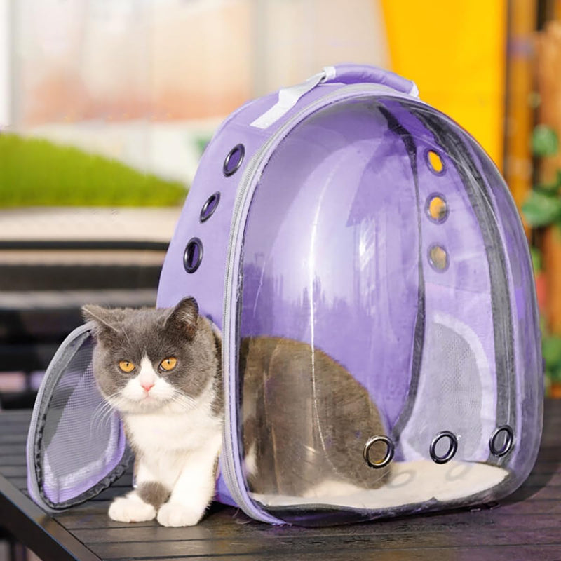 Expandable Bubble Backpack for Cats