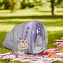 Expandable Bubble Backpack for Cats