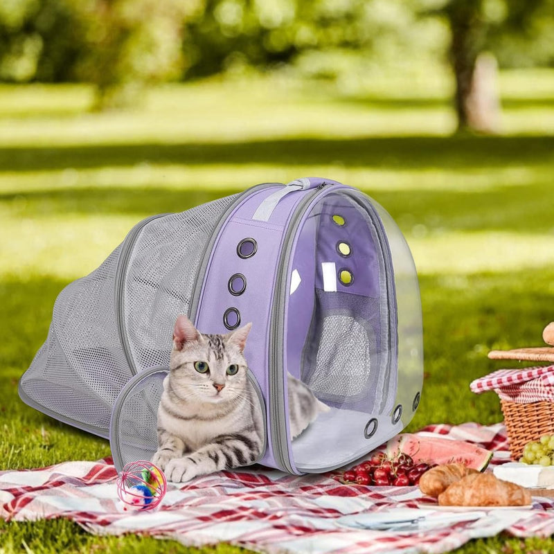 Expandable Bubble Backpack for Cats