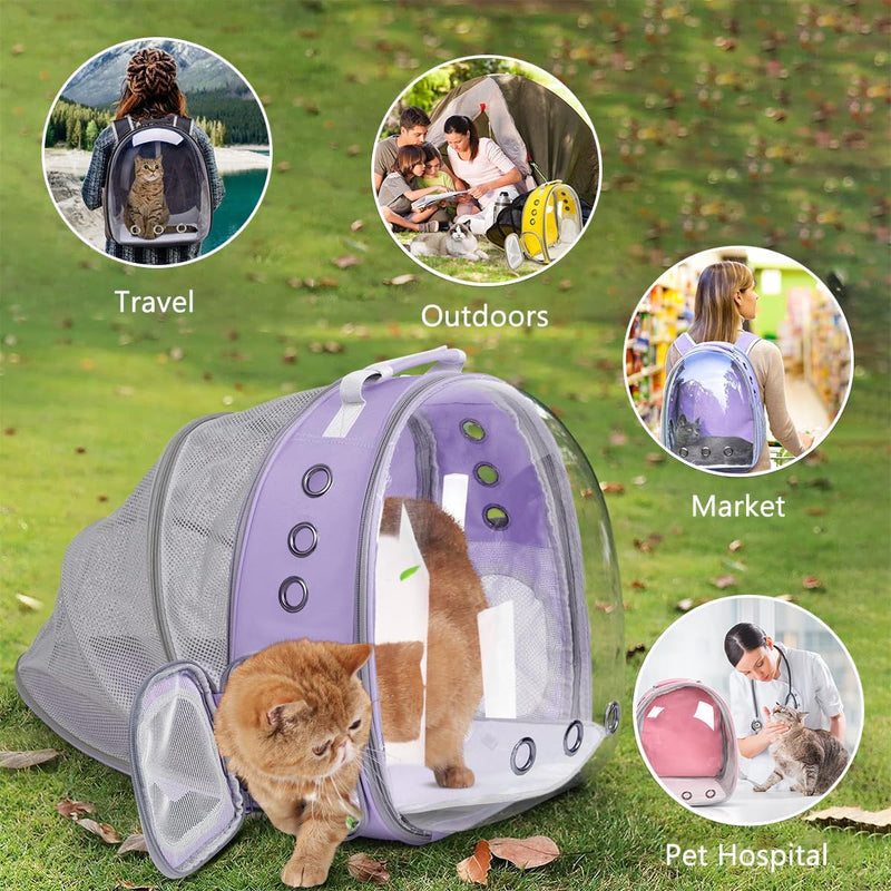 Expandable Bubble Backpack for Cats