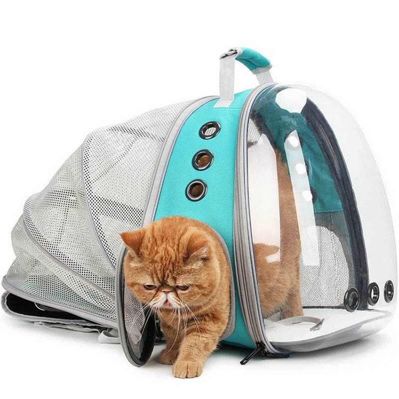 Expandable Bubble Backpack for Cats
