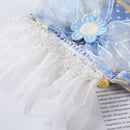 Cat Harness and Leash Set