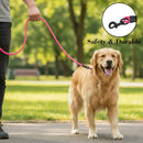 Durable, Strong Dog Leash with Safety lock