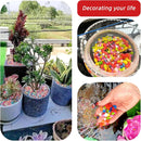 Decorative Pebbles Aquarium Red Color Stones