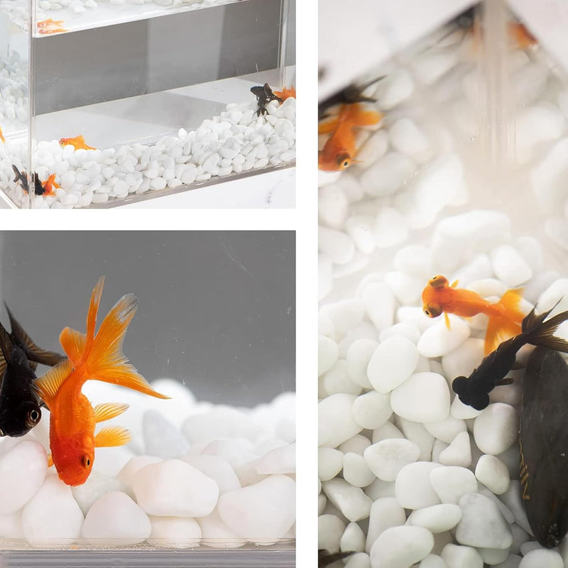 White Polished Gravel Stones for Fish Tank (1.2-1.5Cm)