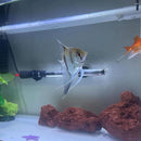 Natural Lava Rocks Fire Stone Granules