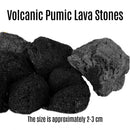 Lava Rocks for Fire Pits, Gardens, Aquariums & Plant Cultivation