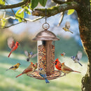 Hanging Metal Bird Feeder for Outdoor Garden