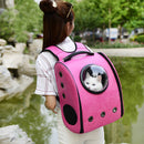 Transparent Pet Travel Carrier bag