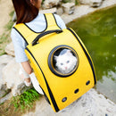 Transparent Pet Travel Carrier bag