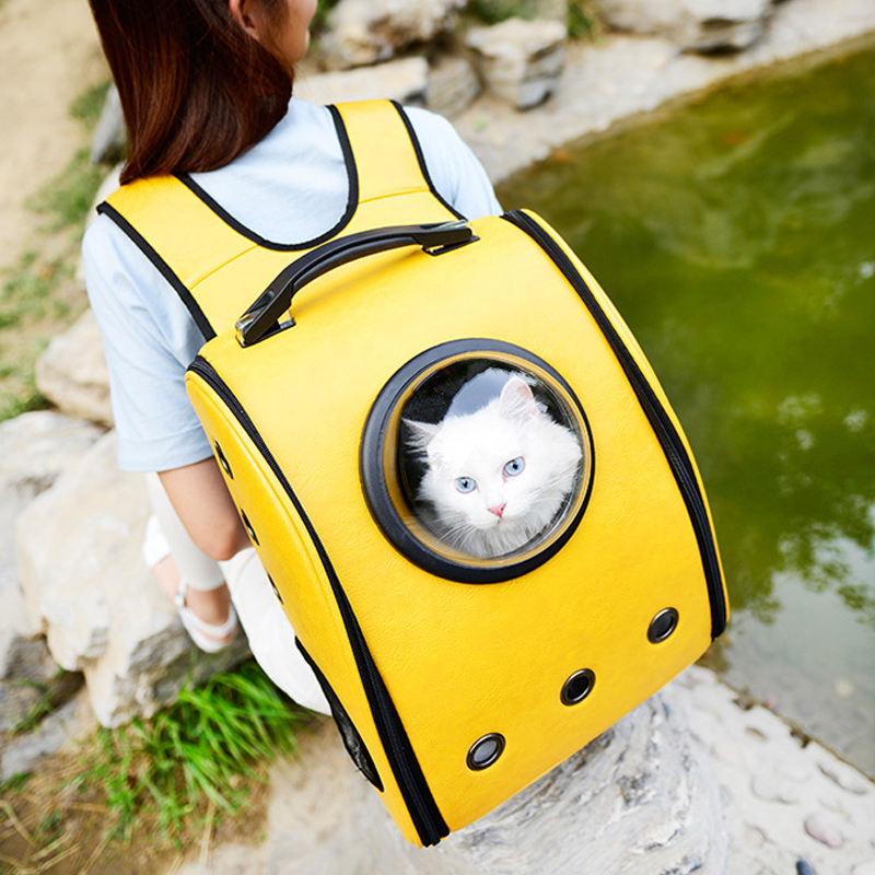 Transparent Pet Travel Carrier bag