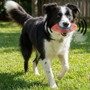 Dog Toy Durable Rubber Football with Spikes