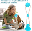 Durable Dog Chew Toy with Suction Cup | Dog Tug Rope Dental Care Ball