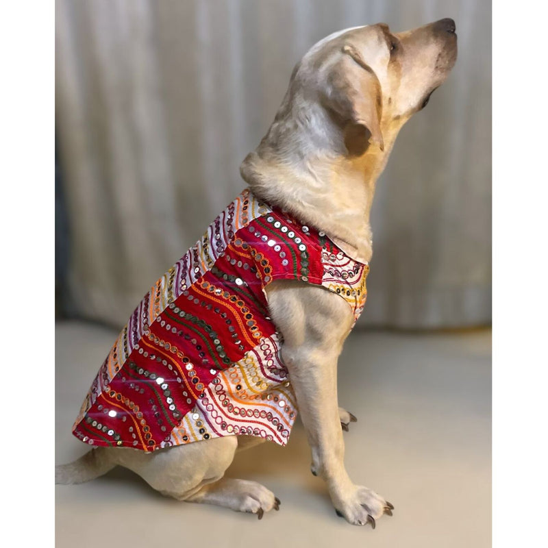 Traditional Dog Dress for Small, Medium & Large Dogs – Red