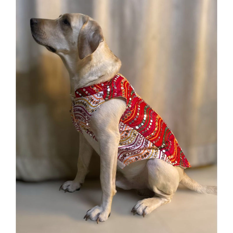 Traditional Dog Dress for Small, Medium & Large Dogs – Red