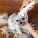 Cordless Dog Hair Trimmer - Electric Pet Grooming Clipper
