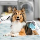 Pet Hair Dryer - Professional Pet Grooming Dryer for Dogs & Cats