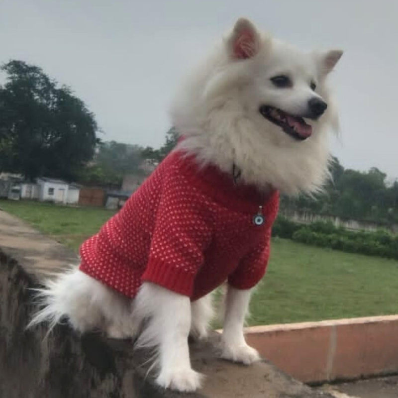 Cozy Winter Sweaters for Pets Ideal for Dogs And Cats