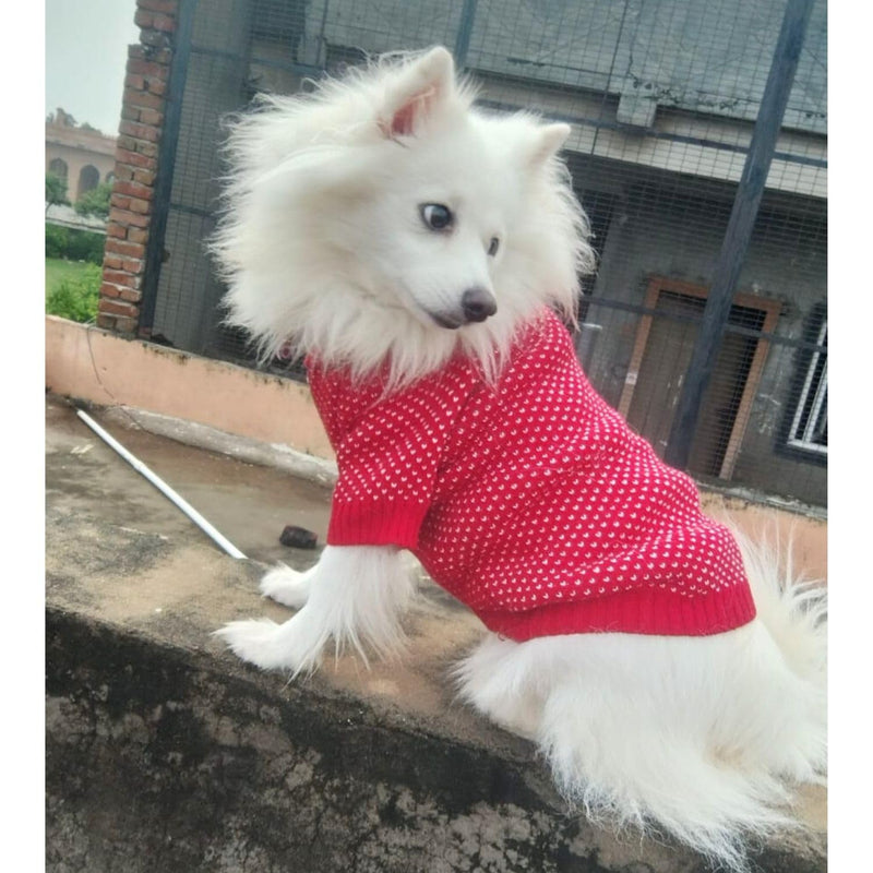 Cozy Winter Sweaters for Pets Ideal for Dogs And Cats