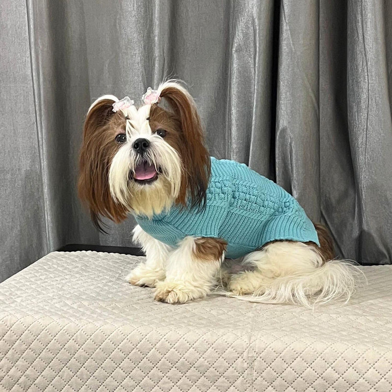 Winter Sweaters for small Dogs And Cats Soft-Comfy (Sky Blue)