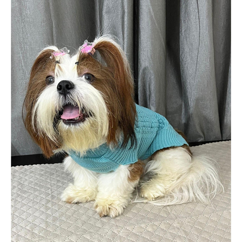 Winter Sweaters for small Dogs And Cats Soft-Comfy (Sky Blue)