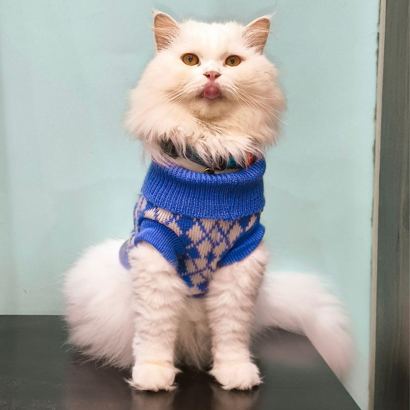 Winter Sweaters for Small Dogs & Cats Woolen Knit Sweater  (PURPLE)