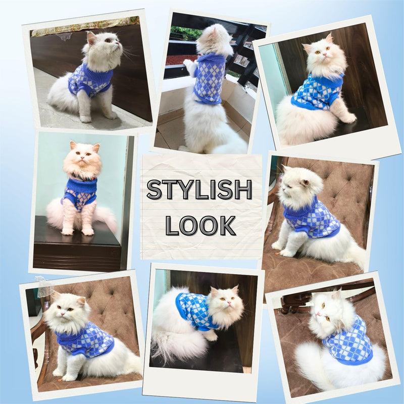 Winter Sweaters for Small Dogs & Cats Woolen Knit Sweater  (PURPLE)