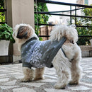 Winter Sweaters for Small Dogs And Cats