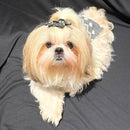 Winter Pet Sweaters for Small Dogs & Cats (Grey)