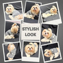 Winter Pet Sweaters for Small Dogs & Cats (Grey)