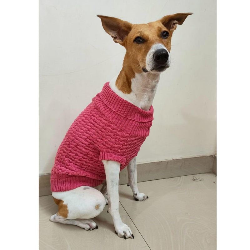 Winter – Warm Woolen Knitwear for Small & Medium Dogs ,Cats (Pink)
