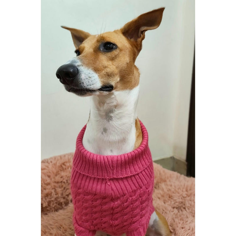 Winter – Warm Woolen Knitwear for Small & Medium Dogs ,Cats (Pink)