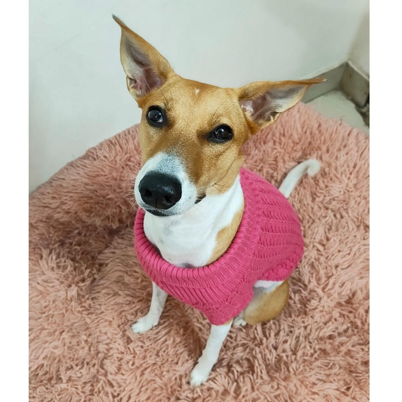 Winter – Warm Woolen Knitwear for Small & Medium Dogs ,Cats (Pink)