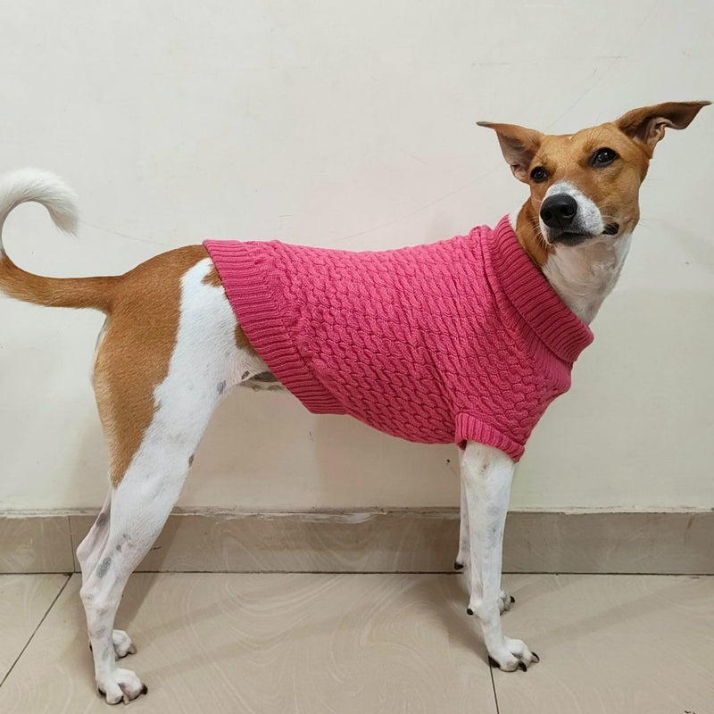 Winter – Warm Woolen Knitwear for Small & Medium Dogs ,Cats (Pink)