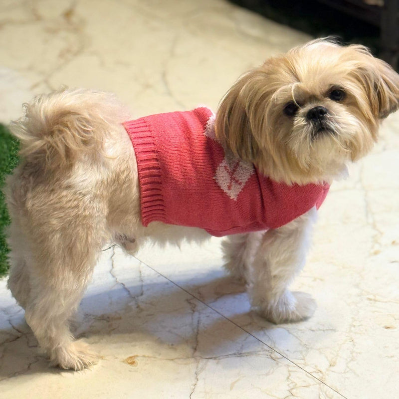Warm Pet Sweater for Small Dogs & Cat for Cold Weather