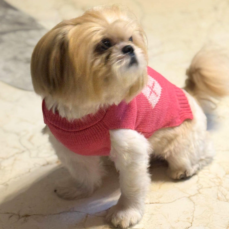 Warm Pet Sweater for Small Dogs & Cat for Cold Weather