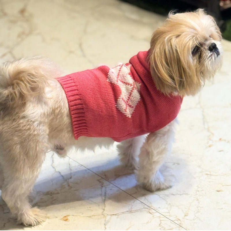 Warm Pet Sweater for Small Dogs & Cat for Cold Weather