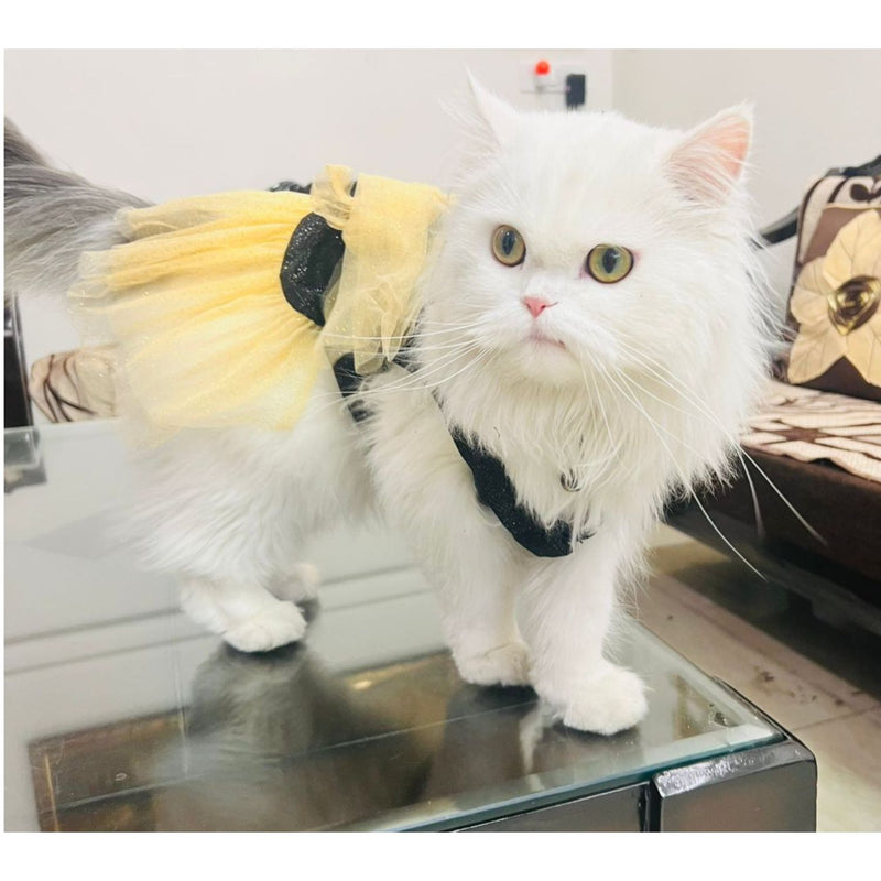 Dog Dress for Girls Dogs and Cats