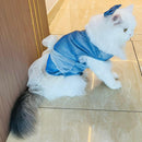 Fancy Pet Dress for small Cats And Dogs for events (Glitter - Blue)