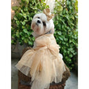 Dog Dress for Girls Dogs and Cats