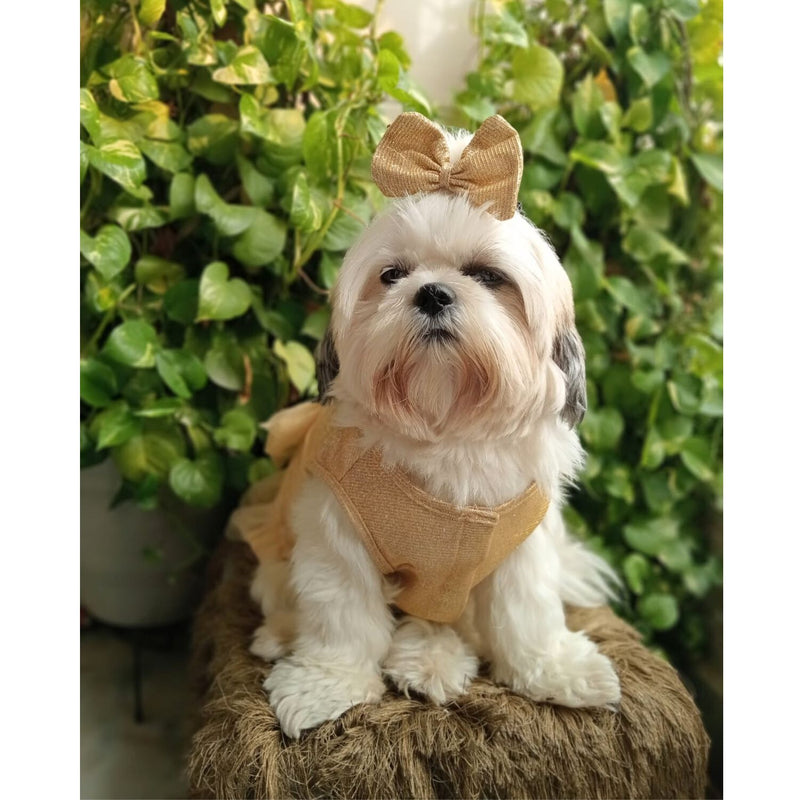 Dog Dress for Girls Dogs and Cats