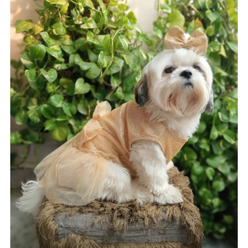 Dog Dress for Girls Dogs and Cats