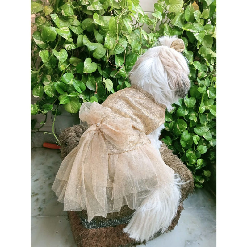 Dog Dress for Girls Dogs and Cats