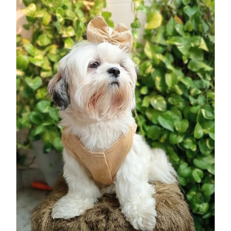 Dog Dress for Girls Dogs and Cats