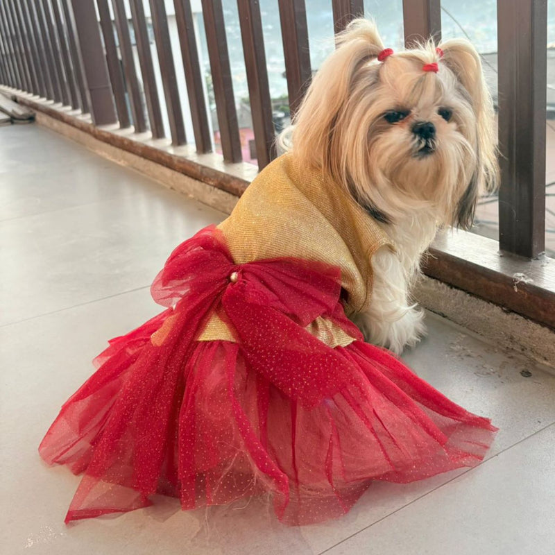 Dress for Girls Dogs and Cats