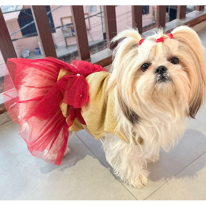 Dress for Girls Dogs and Cats