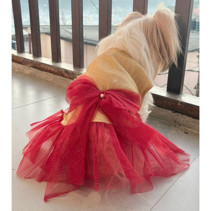 Dress for Girls Dogs and Cats