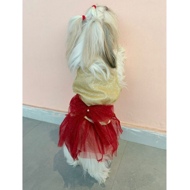 Dress for Girls Dogs and Cats