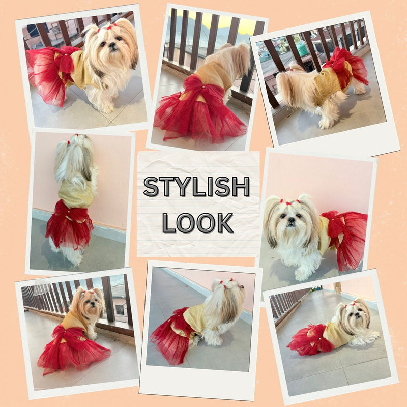 Dress for Girls Dogs and Cats